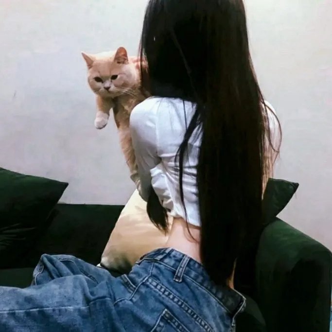 惊天奇案在线观看